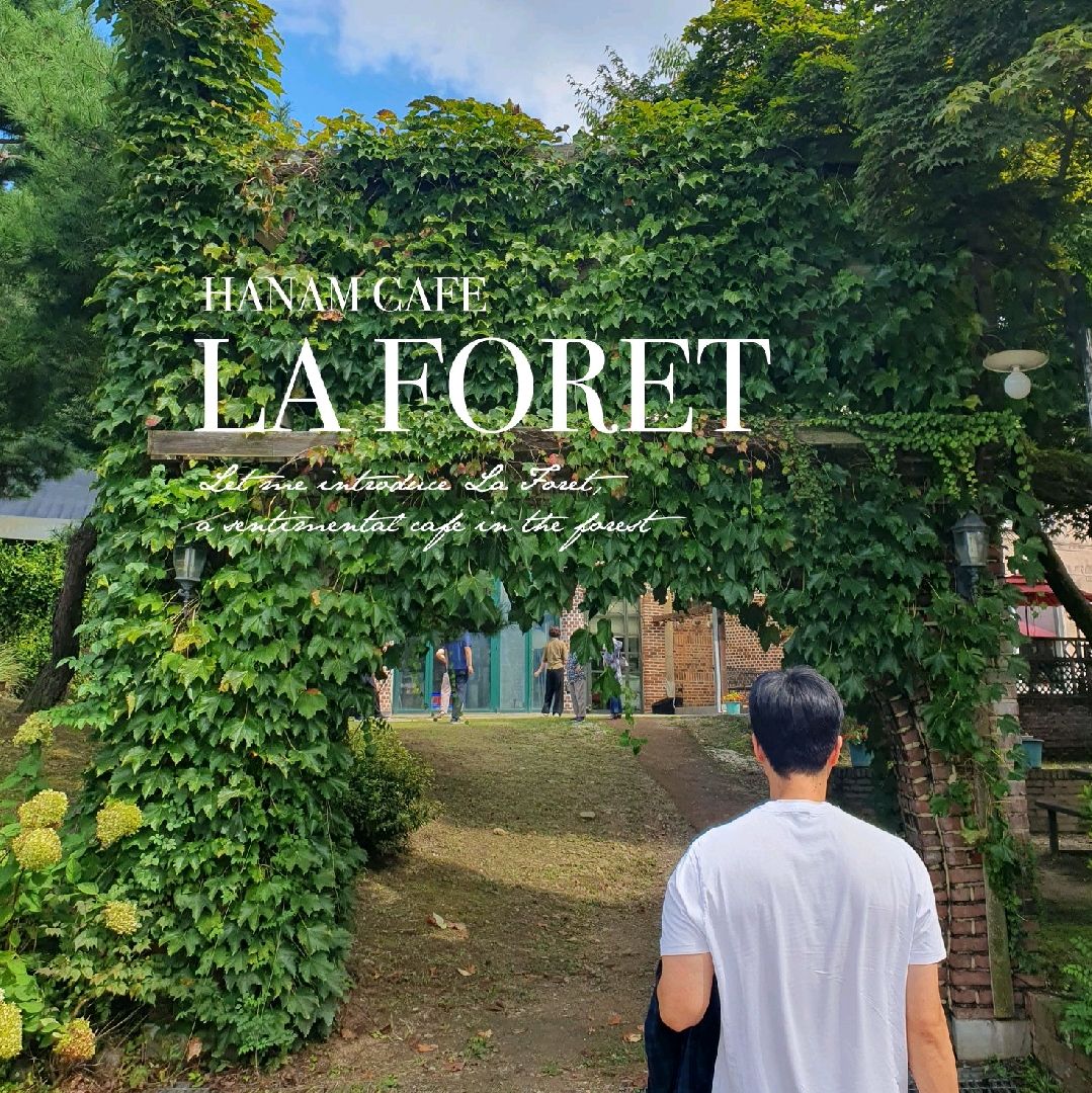 哈南,森林中的Laforet咖啡馆,您可以感受到四季