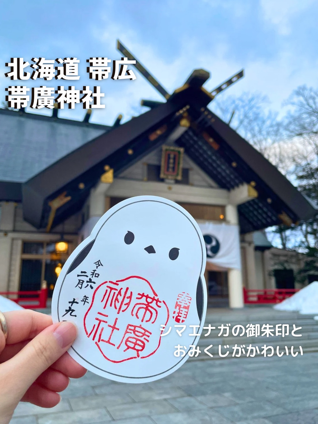 [北海道带广] Shimaenaga 的红戳和神签很可爱⛩️带广神社