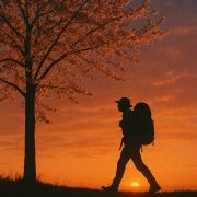 小M的旅行日记✈️