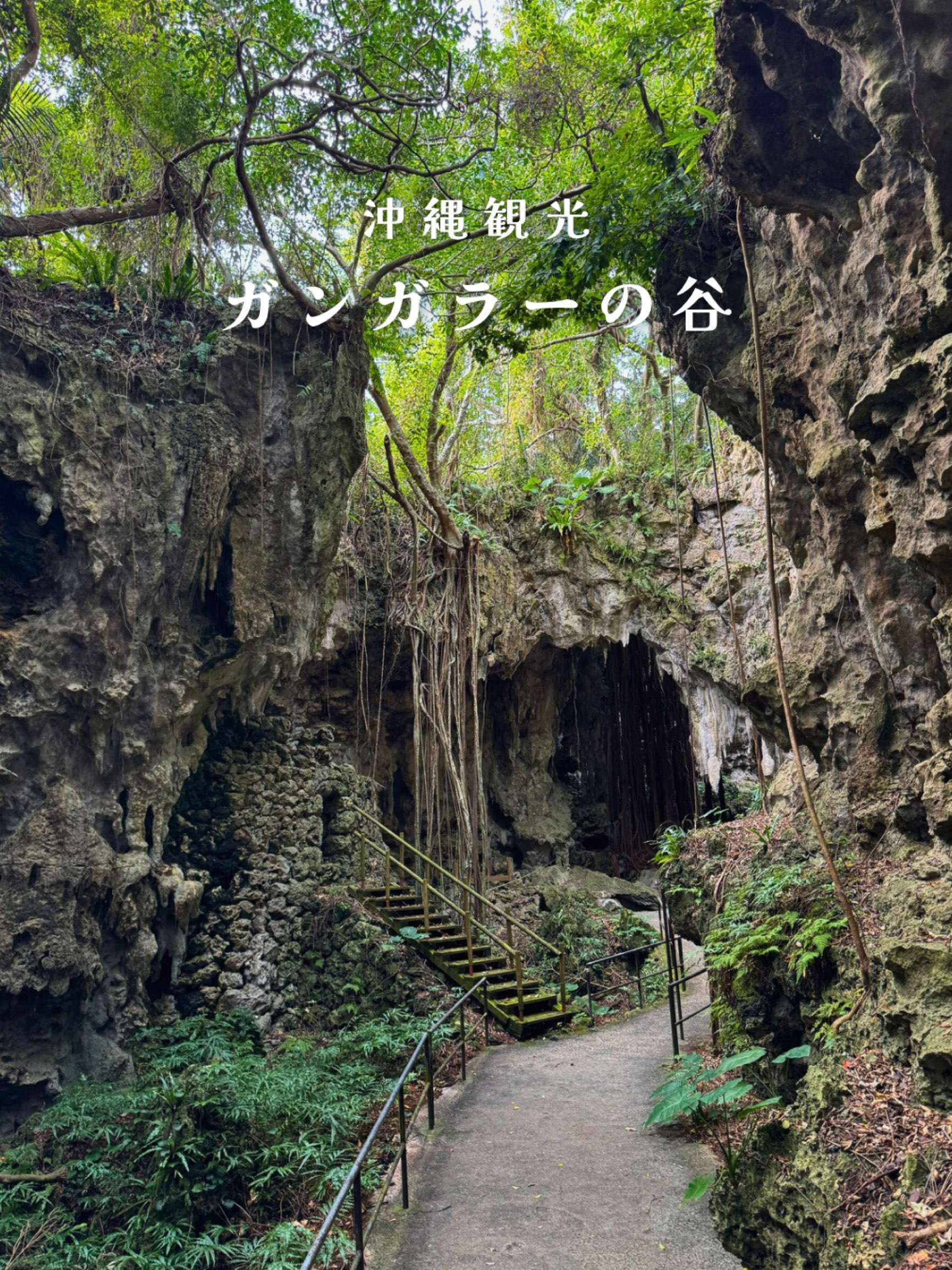 甘加勒谷📍冲绳