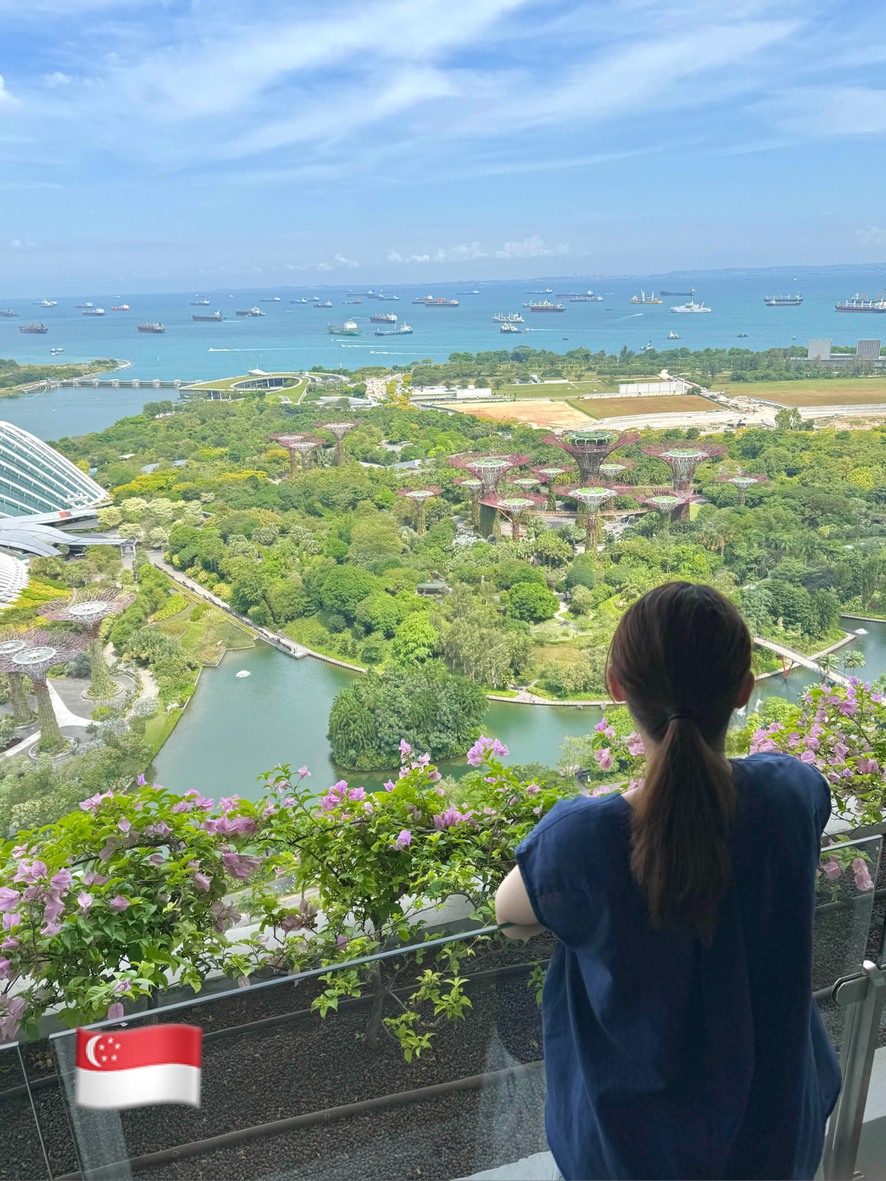 [新加坡]如果您去新加坡,我想过夜!我渴望的滨海湾金沙