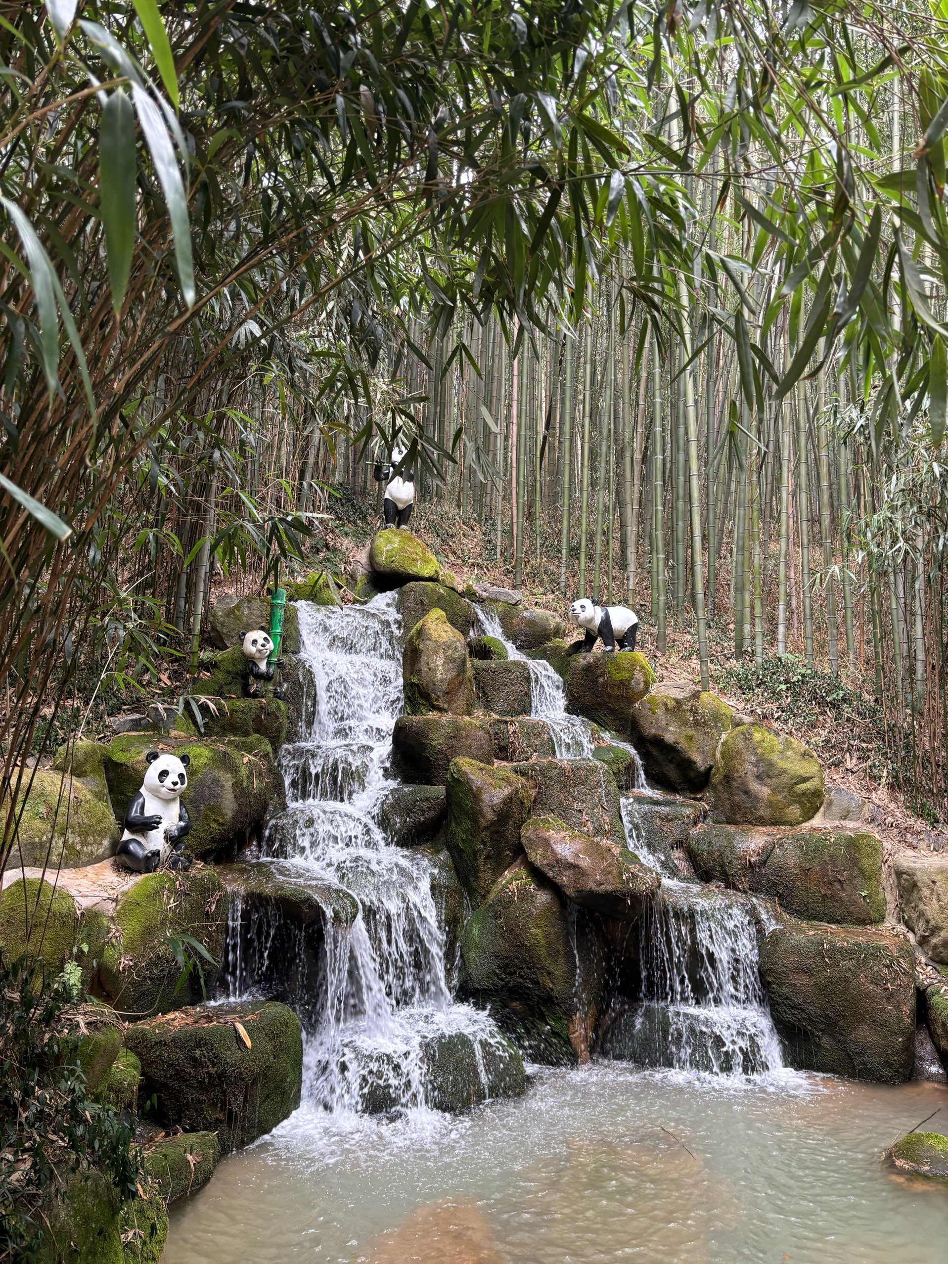 竹林竹绿园,适合冬天散步🎋