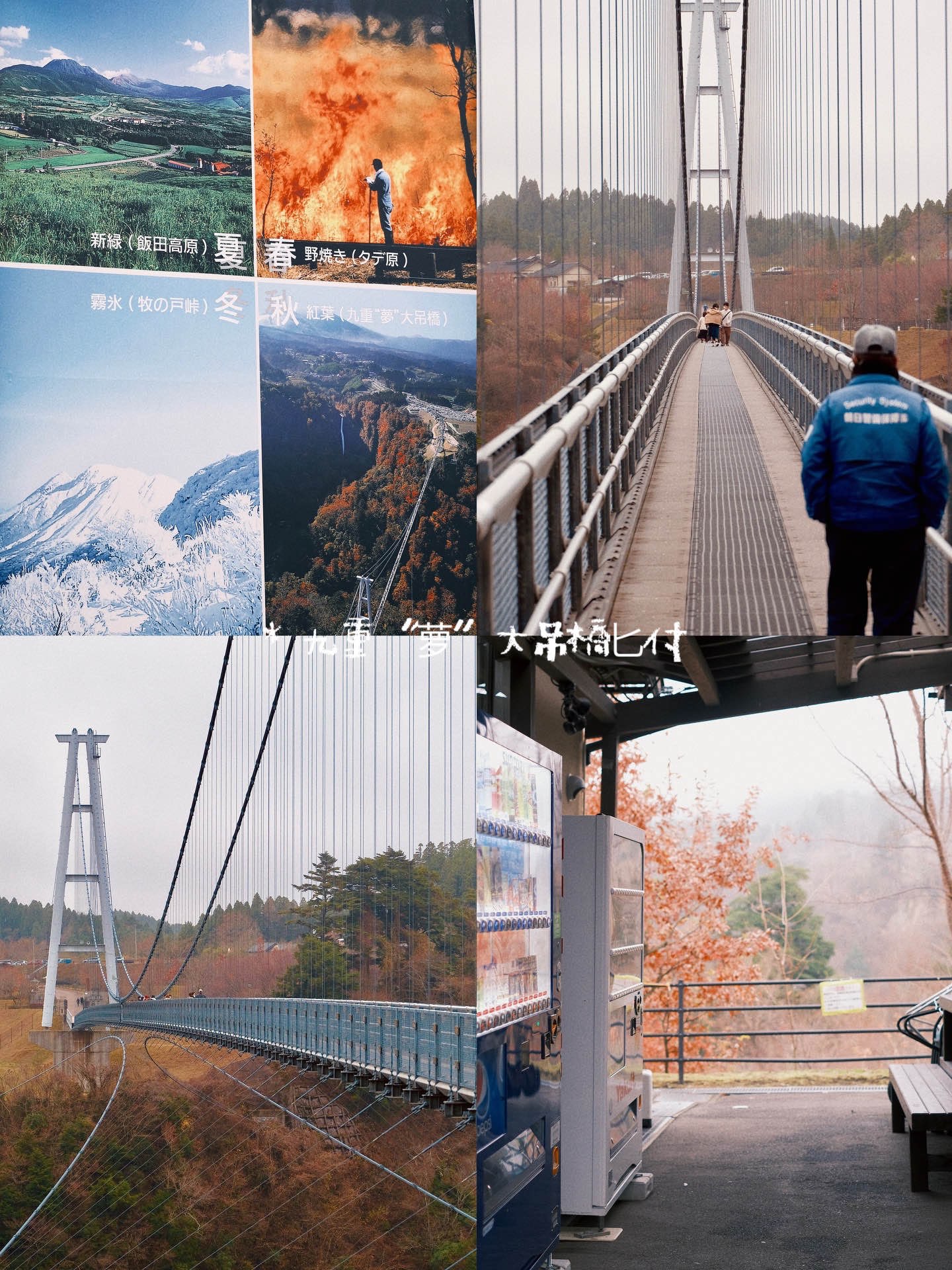 日本九州｜九重梦大吊桥 探访日本最高人行吊桥🌁