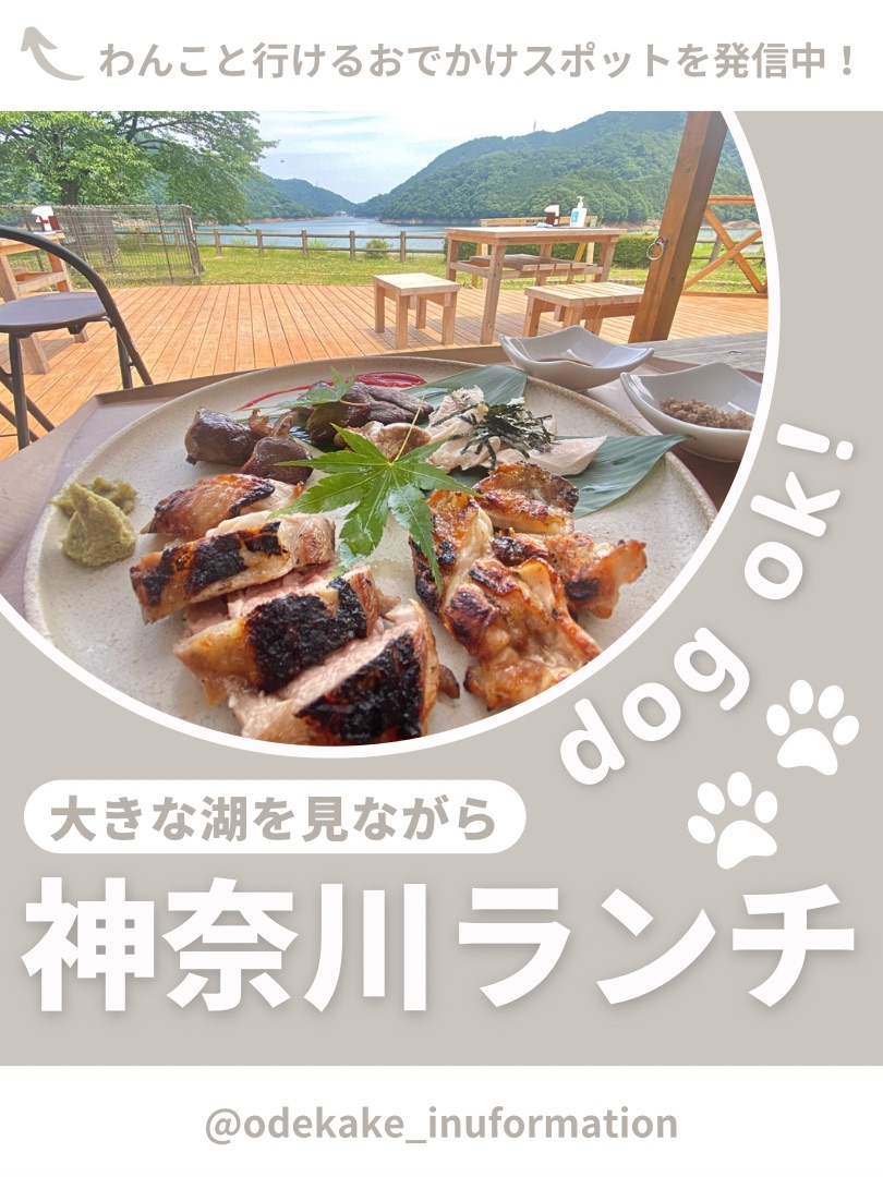 [神奈川･宫]精美的鸡肉菜肴🐣✨