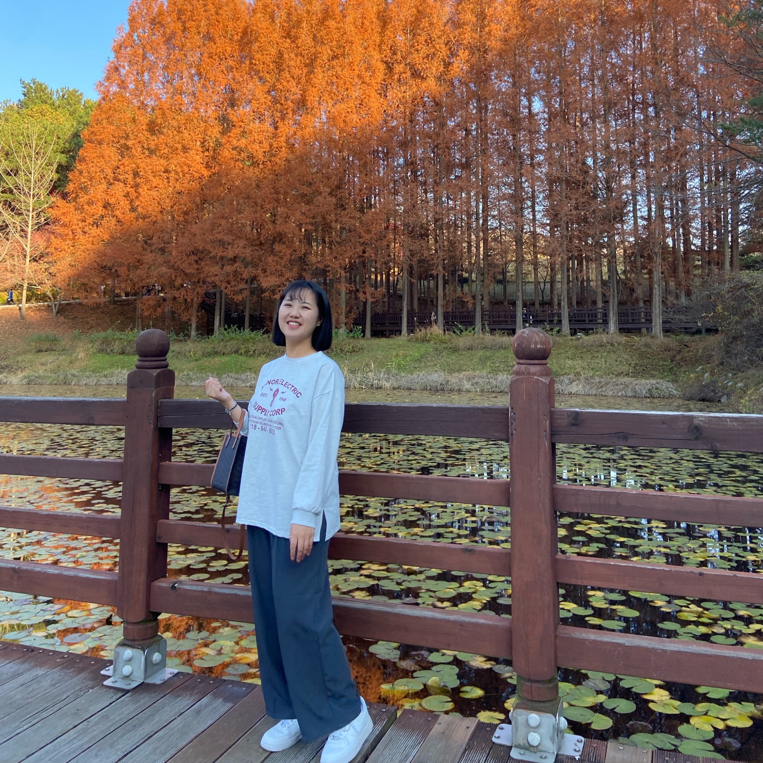 总统别墅的秋季散步🤎清州清南大学