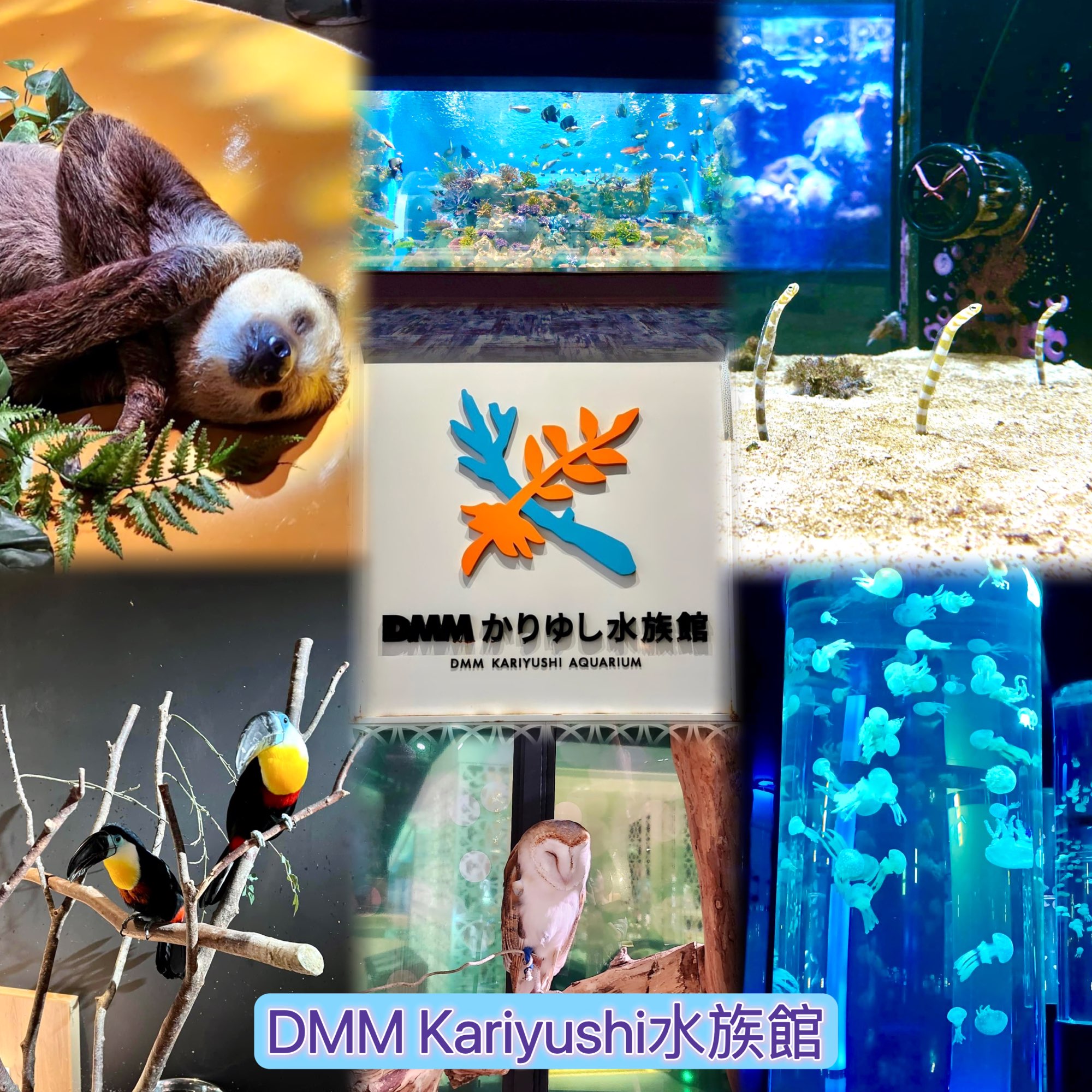 DMM Kariyushi水族馆-将科技融入水族馆内
