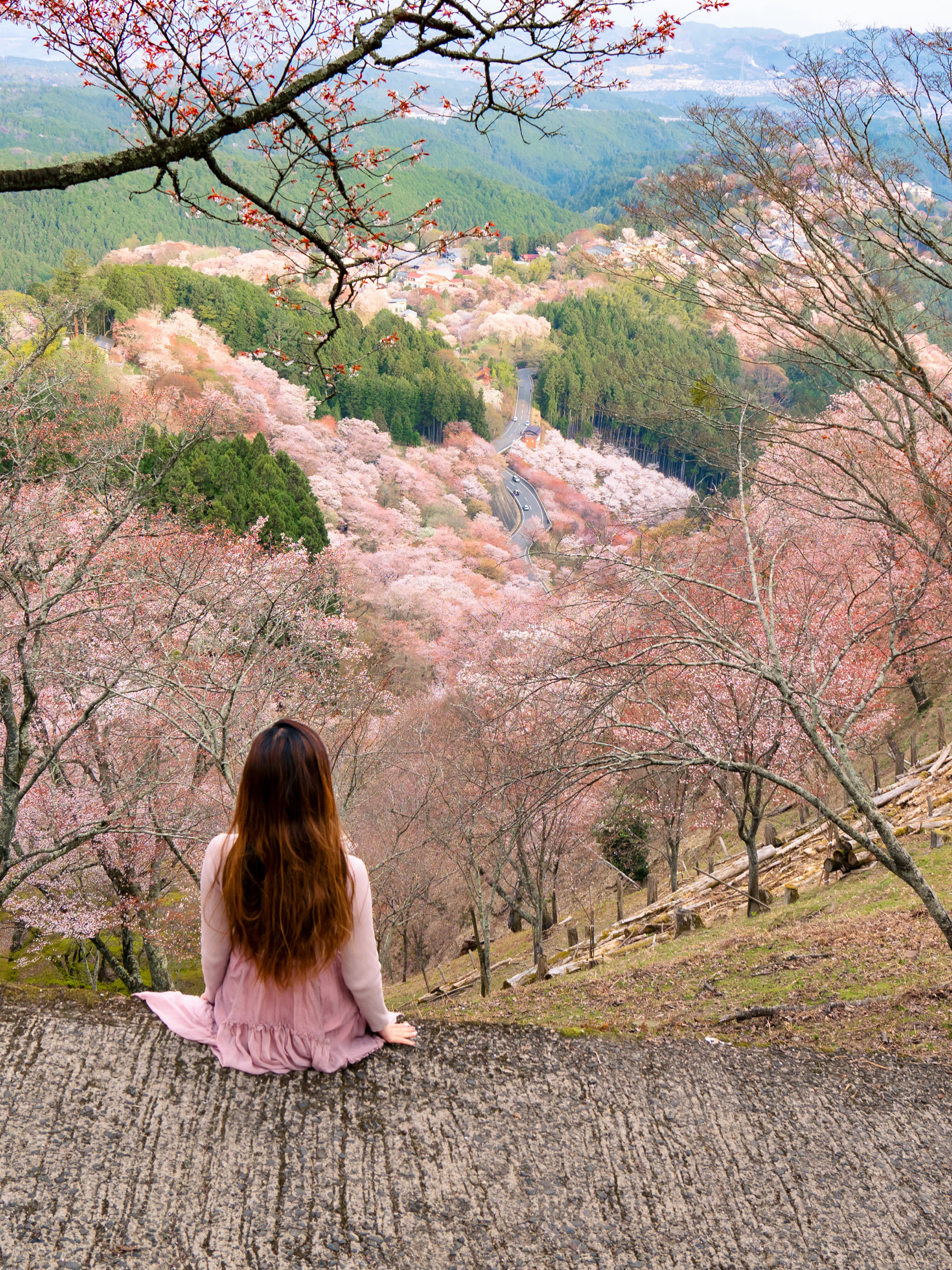 【奈良县】吉野山的樱花