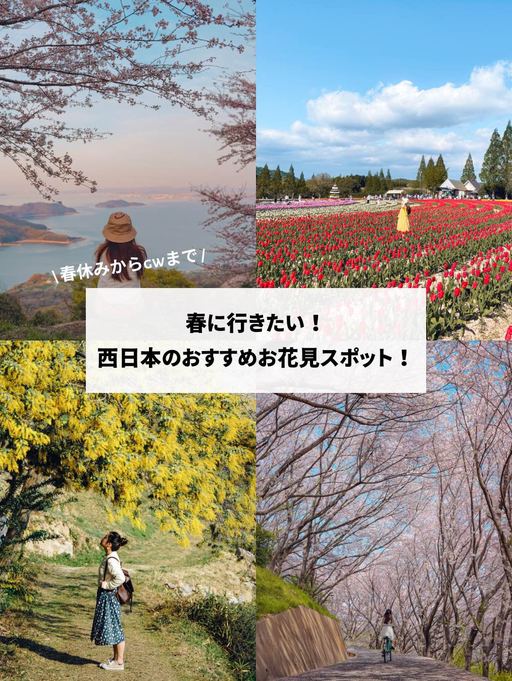 【日本绝景】从春假到黄金周,赏樱的最佳时间!