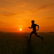 旅行日记·小白👣