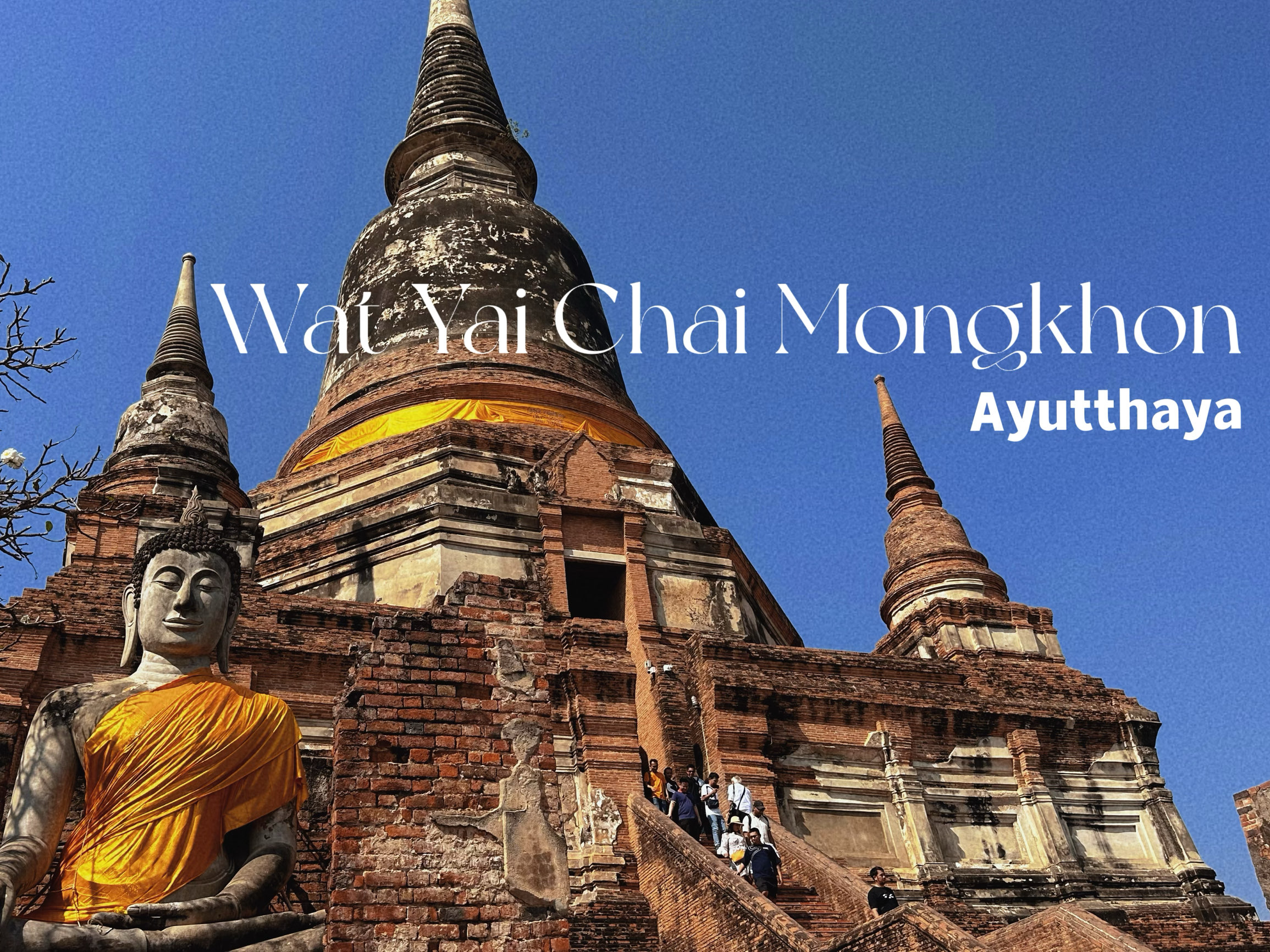 Wat Yai Chai Mongkhon大城府
