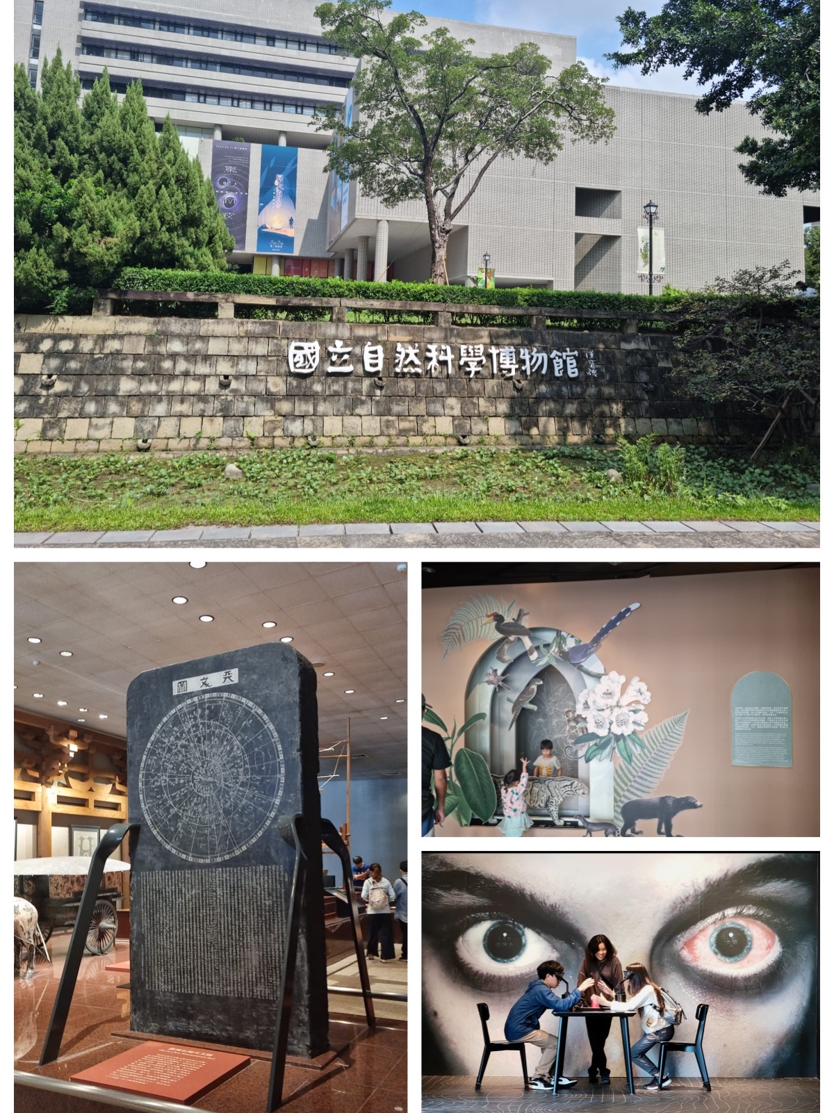 台湾自然科学博物馆亲子打卡点👍🏻旅游途中长见识👀