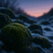 小橘・总忘带唇膏💄