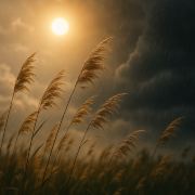 Farmer黄の田园日记