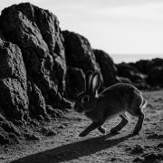 🌍小懒猫漫游ing