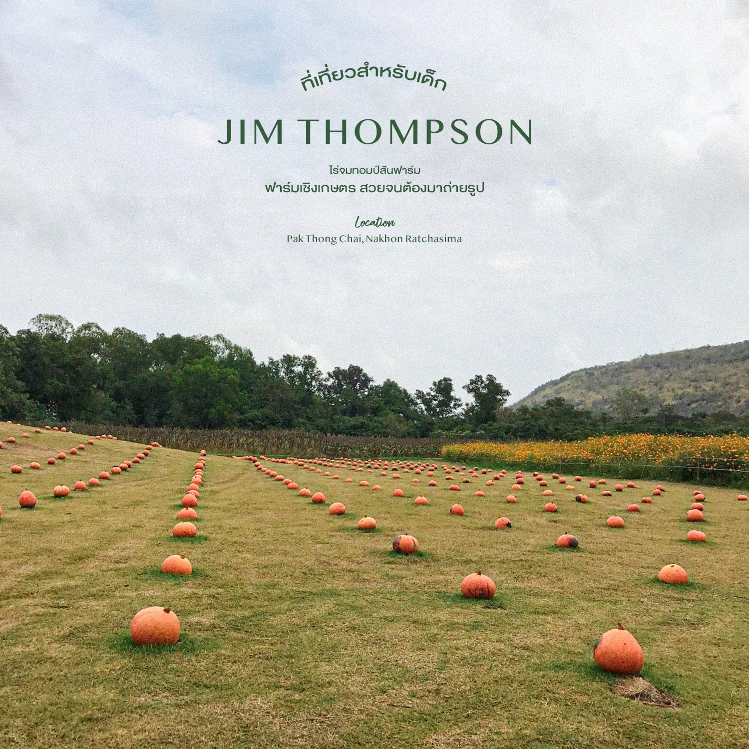 吉姆·汤普森农场 - 吉姆·汤普森农场