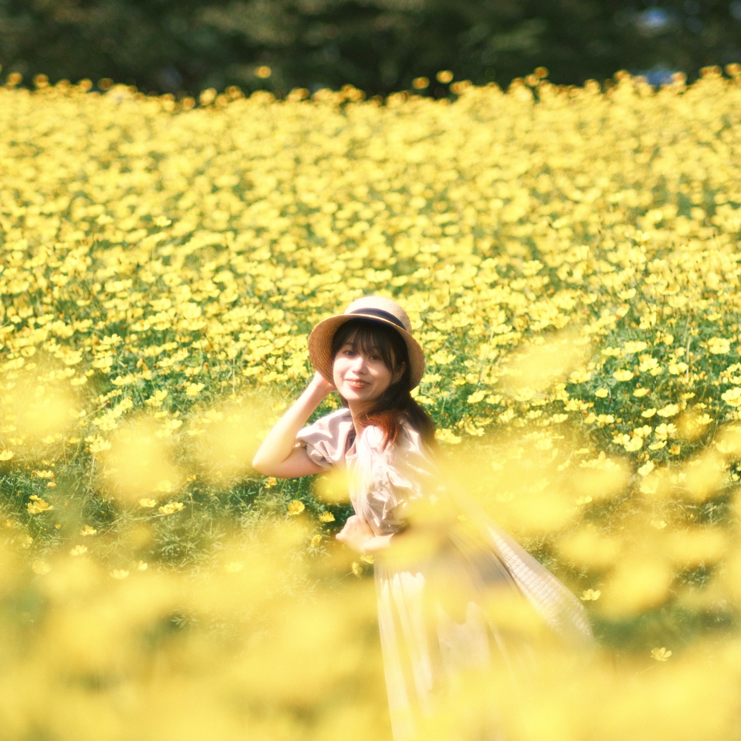 [东京] 10月版🗞在“昭和纪念公园”享受季节性花卉💐