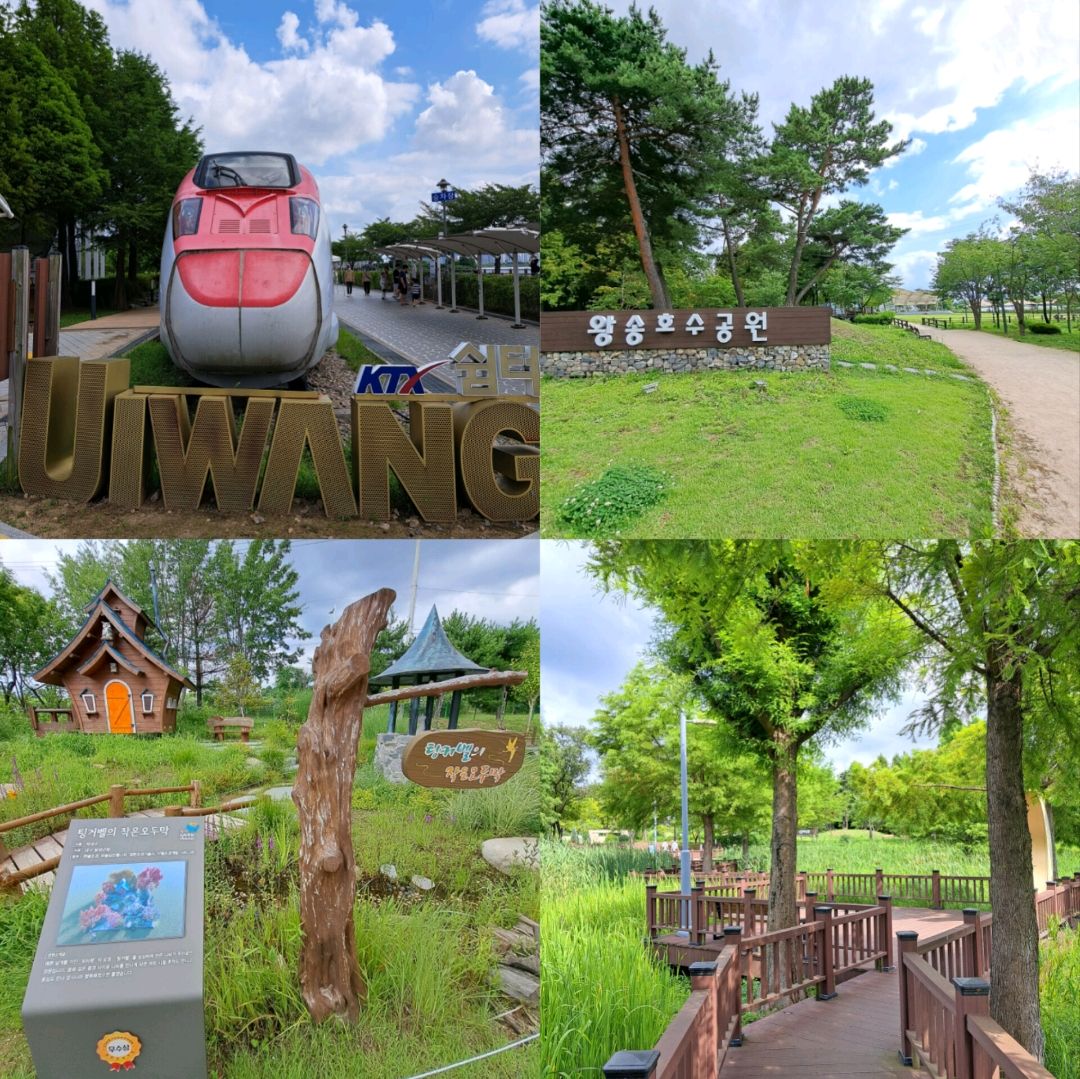 韩国景点😍义王铁道自行车☺️风景优美⭐打卡靓📸