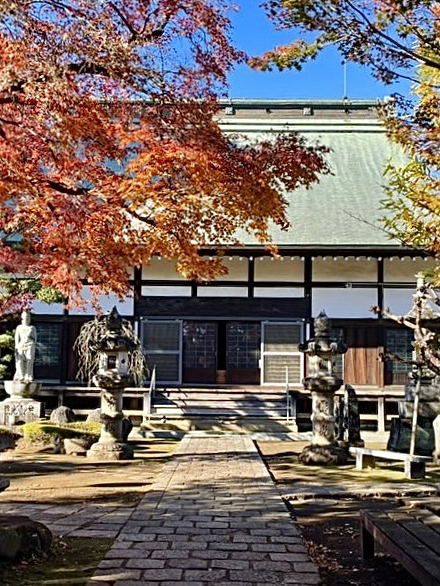 【东京都/小川寺】在小平能看到美丽庭园的寺院