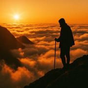 LazyPanda环游日记