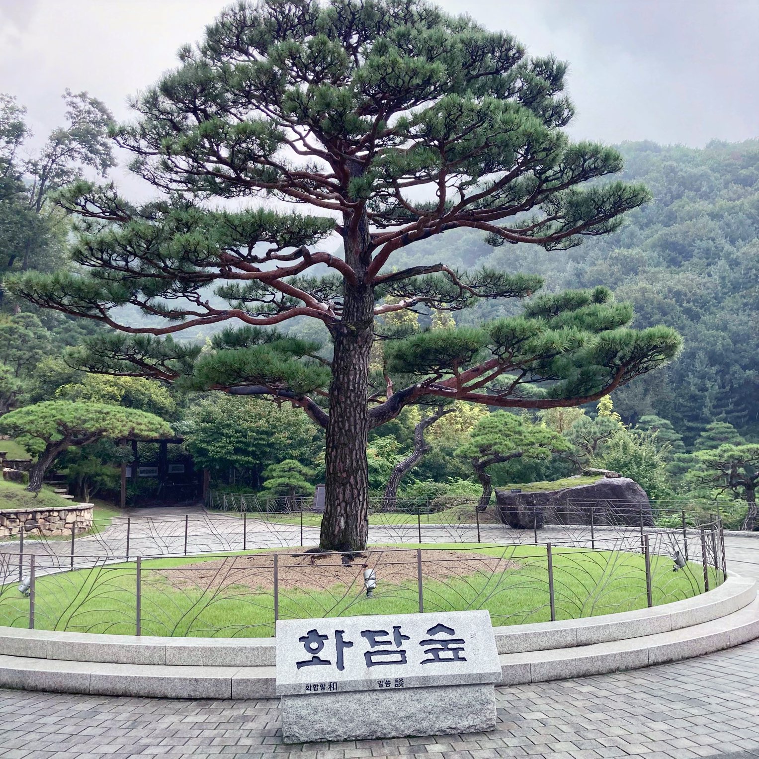韩国最美丽的森林之一,昆地岩花潭森林!