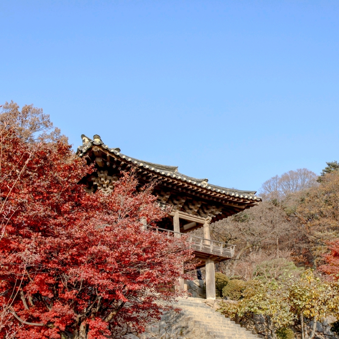 红叶环绕的扶石寺