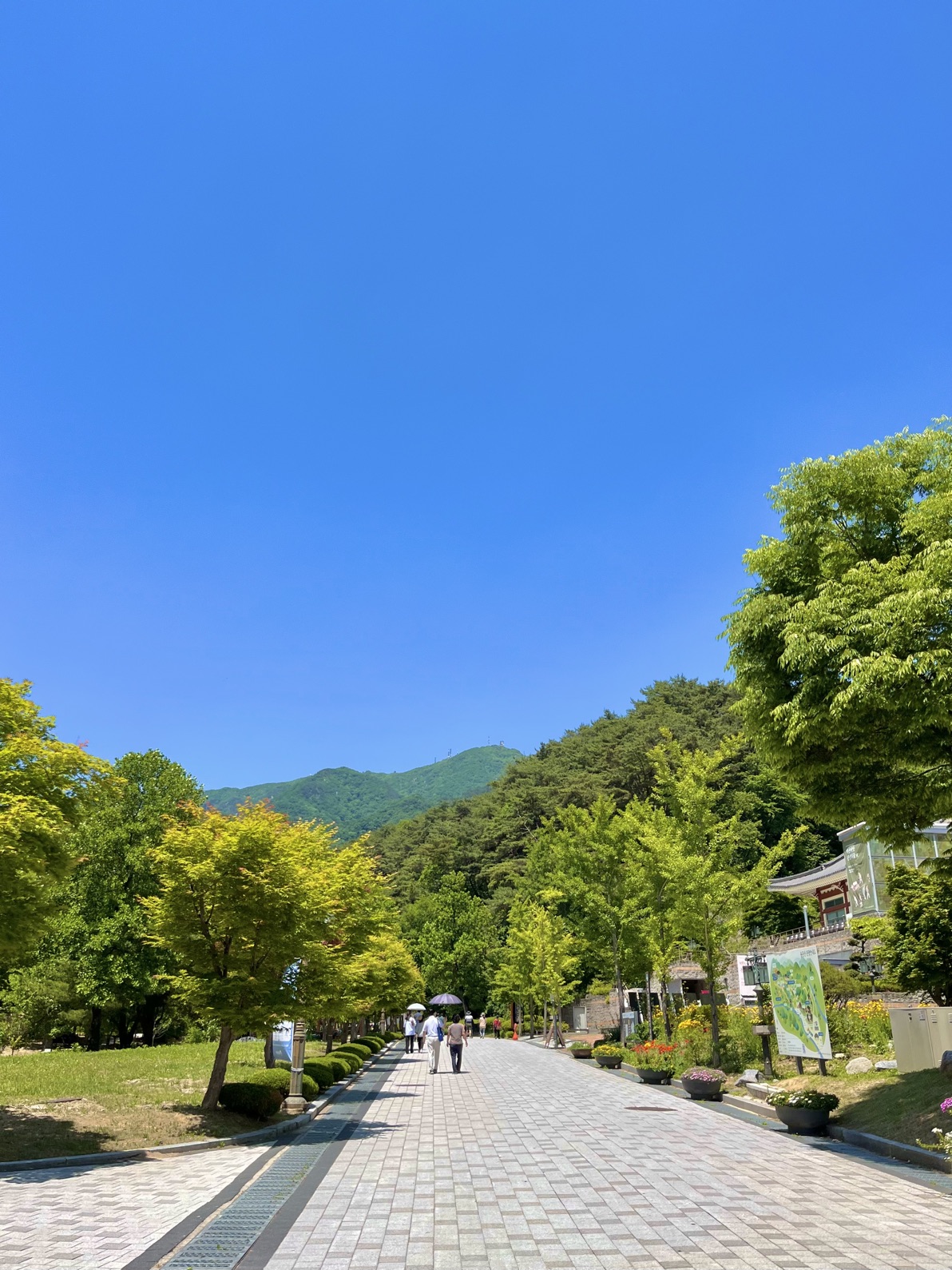 龙门寺,您可以在那里看到阳平美丽的森林🌳