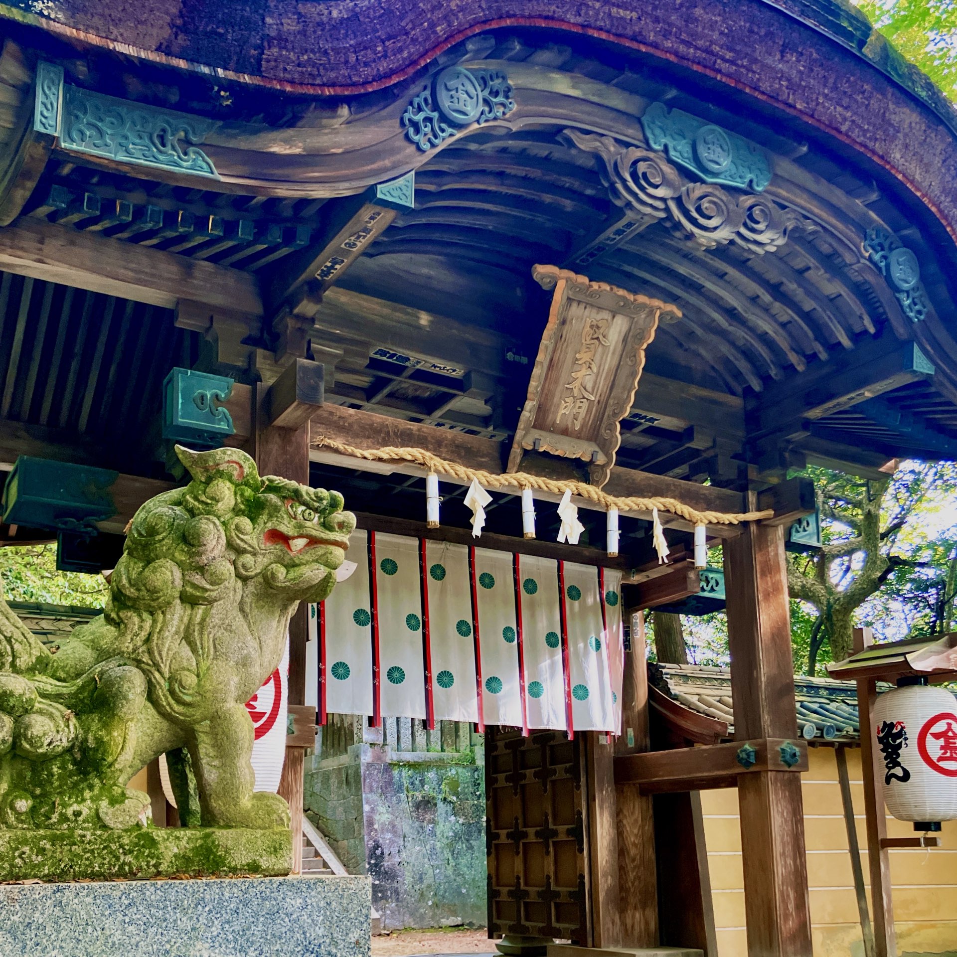 [香川]神社,在785石阶上爬完⛩️