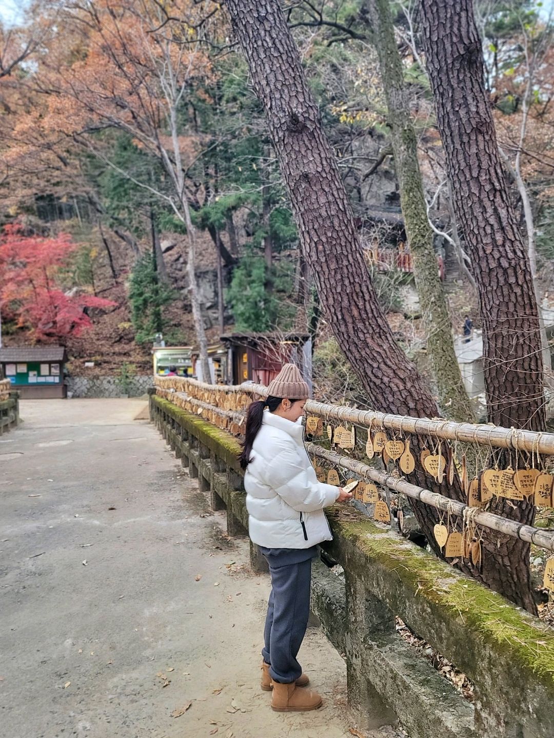 美丽的红龙寺,安静地散步🍂