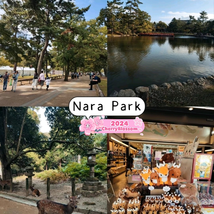 大阪奈良鹿公园🦌