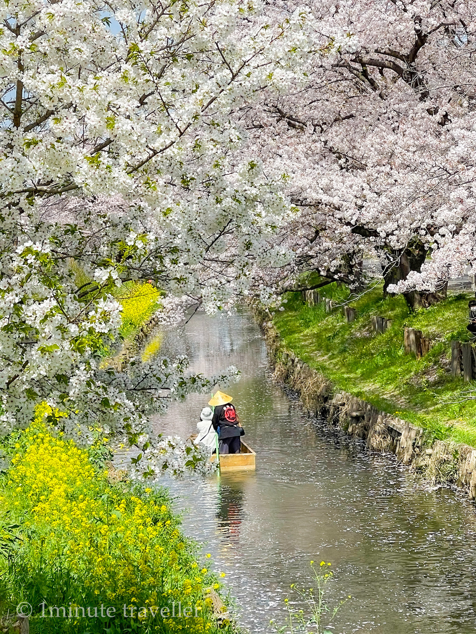 【河越】赏花筏与和舟的江户时代风情,赏樱