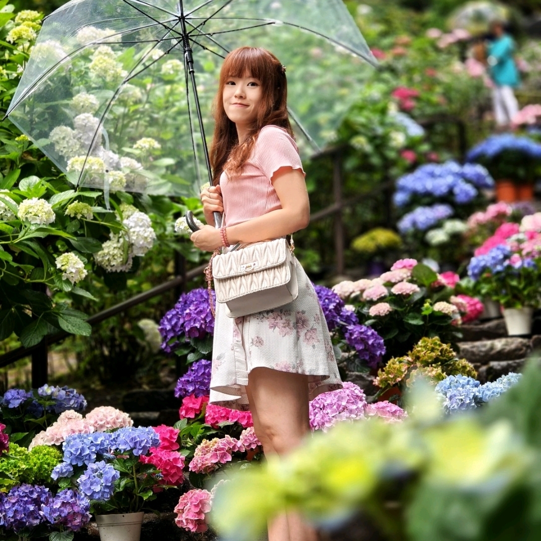 [⛩️寺庙+🌸绣球花! ]奈良“长谷寺”花之御寺当地人的景点