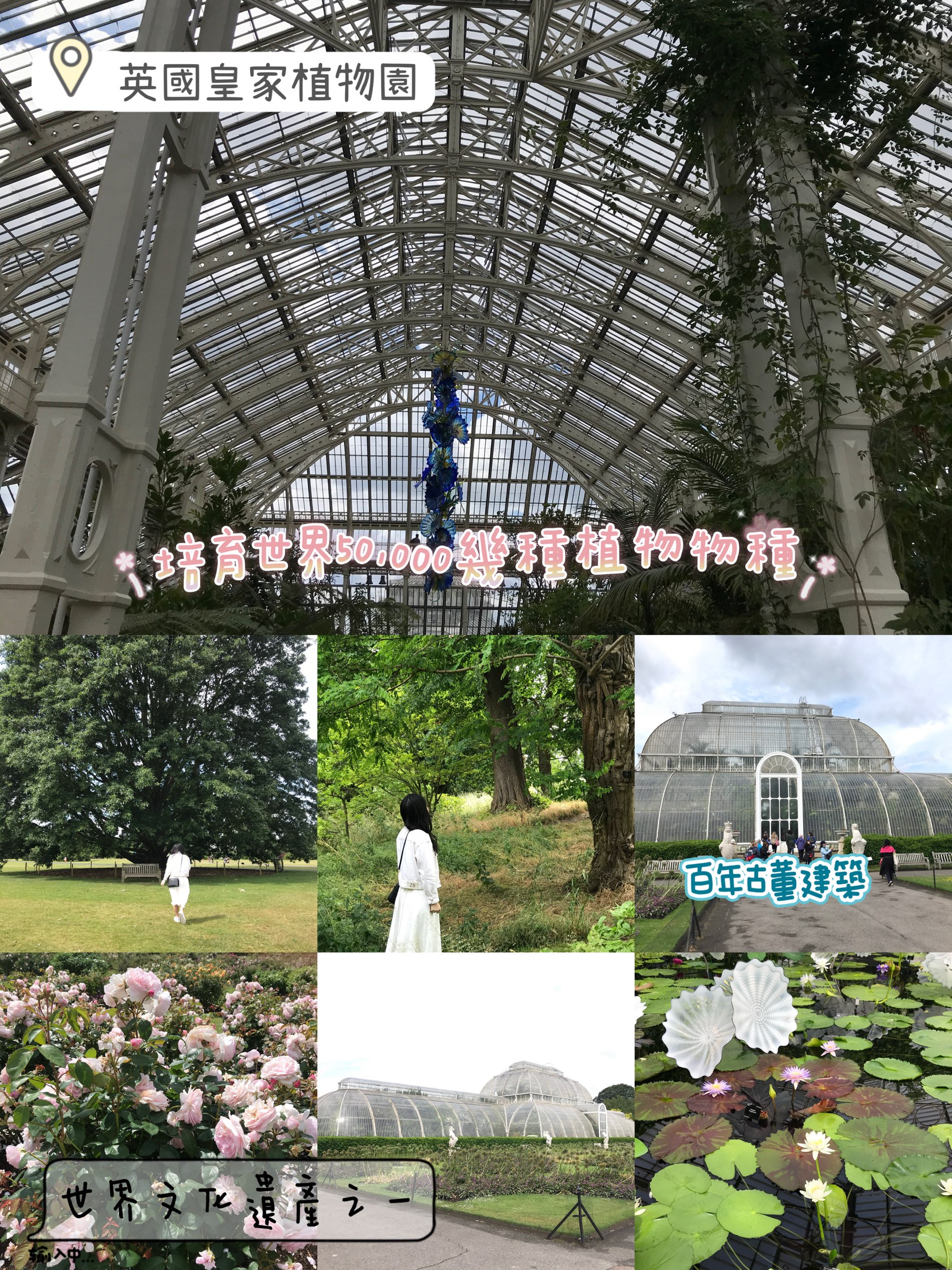 世界文化遗产之Kew Gardens‼️百年温室❤️欣赏大同花卉