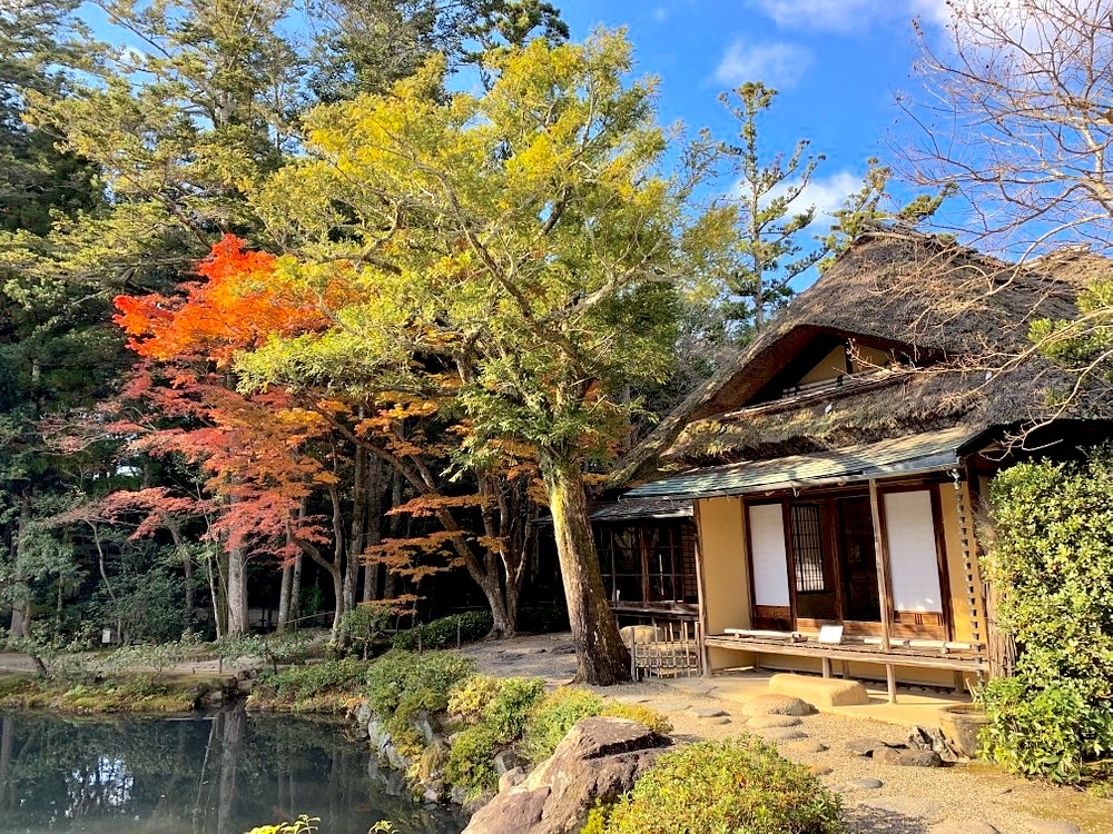 奈良的传统花园