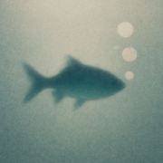 爱摸鱼的小透明