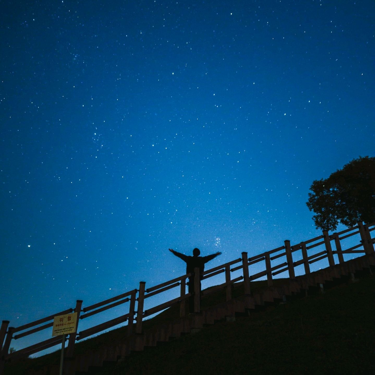 在延天堂浦城看到的今天的宇宙🌌