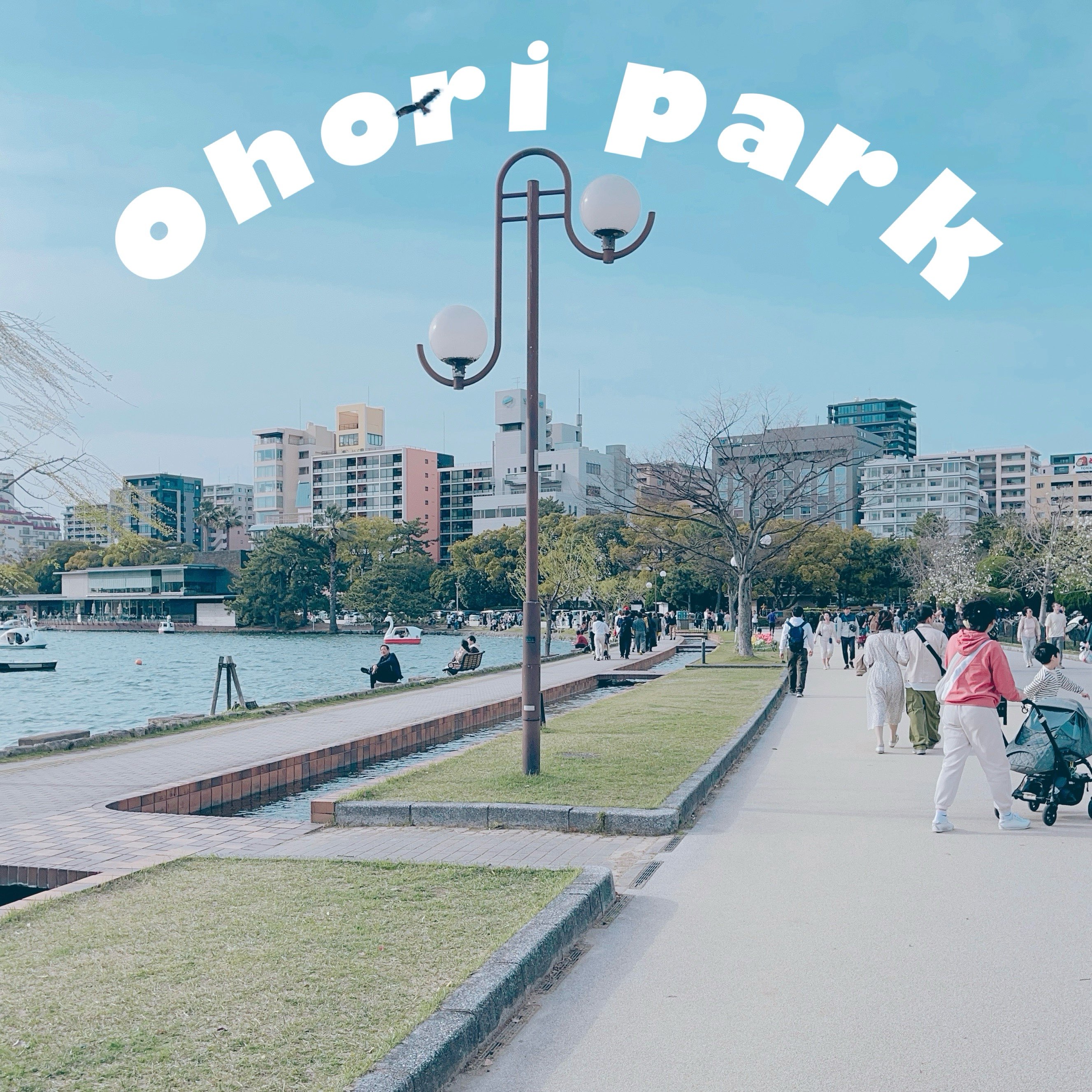 🌸 在小樽公园看樱花散步。