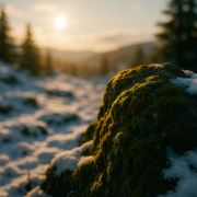 星星的碎片集3923-8642