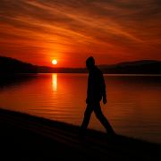 Traveler雨萧☁️