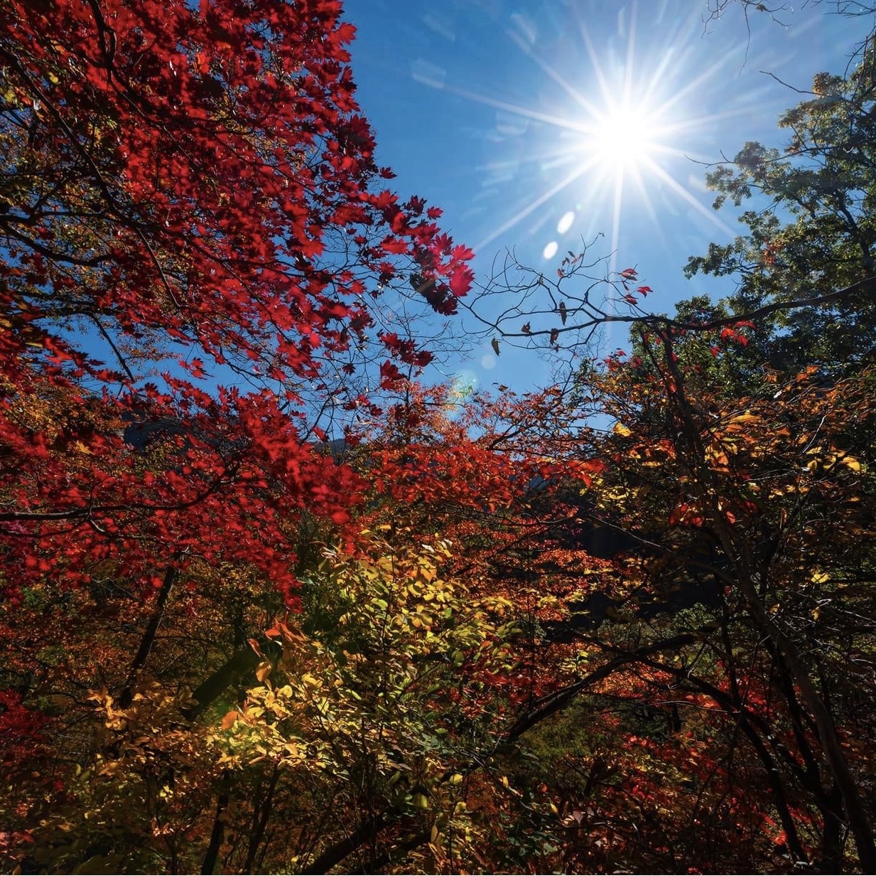 Seoraksan国家公园的秋景