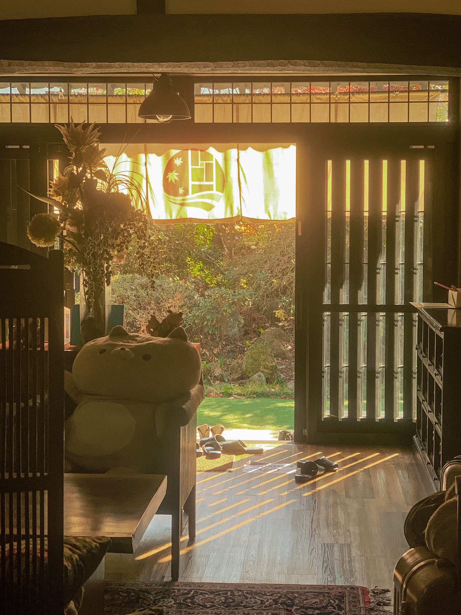日本 | 由布院 住进一家有温度的猫猫民宿🐈