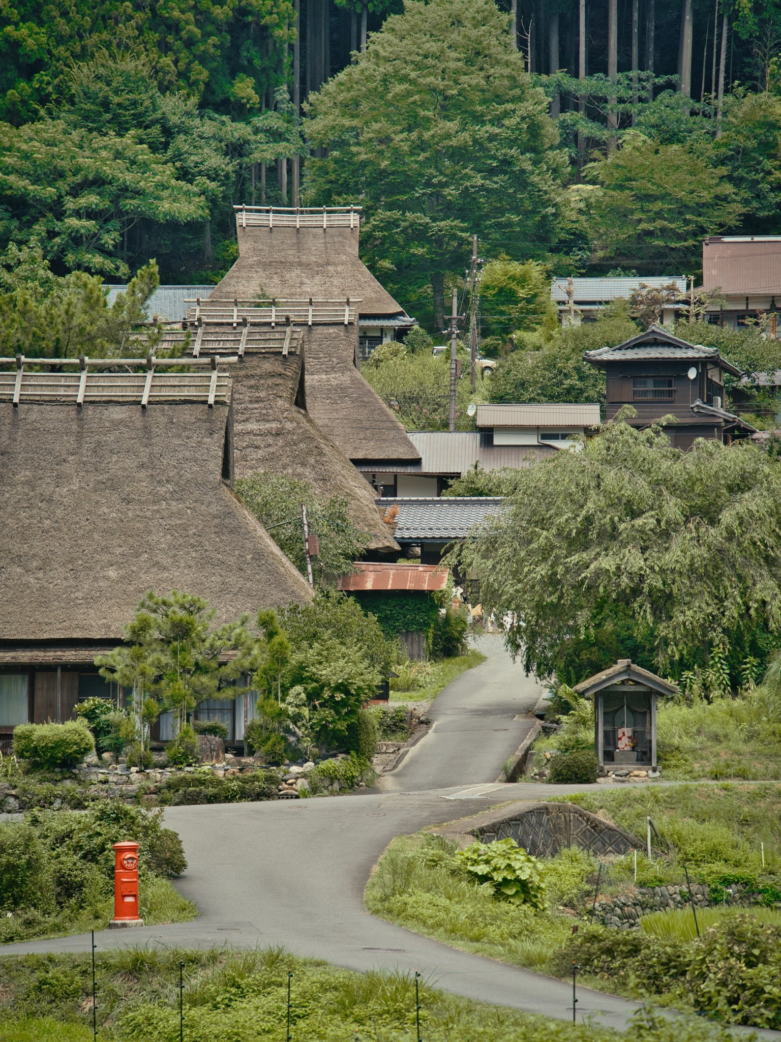 [京都]日本古老的世界仍然存在‼️介绍日本原始风景点🔍※访问策略