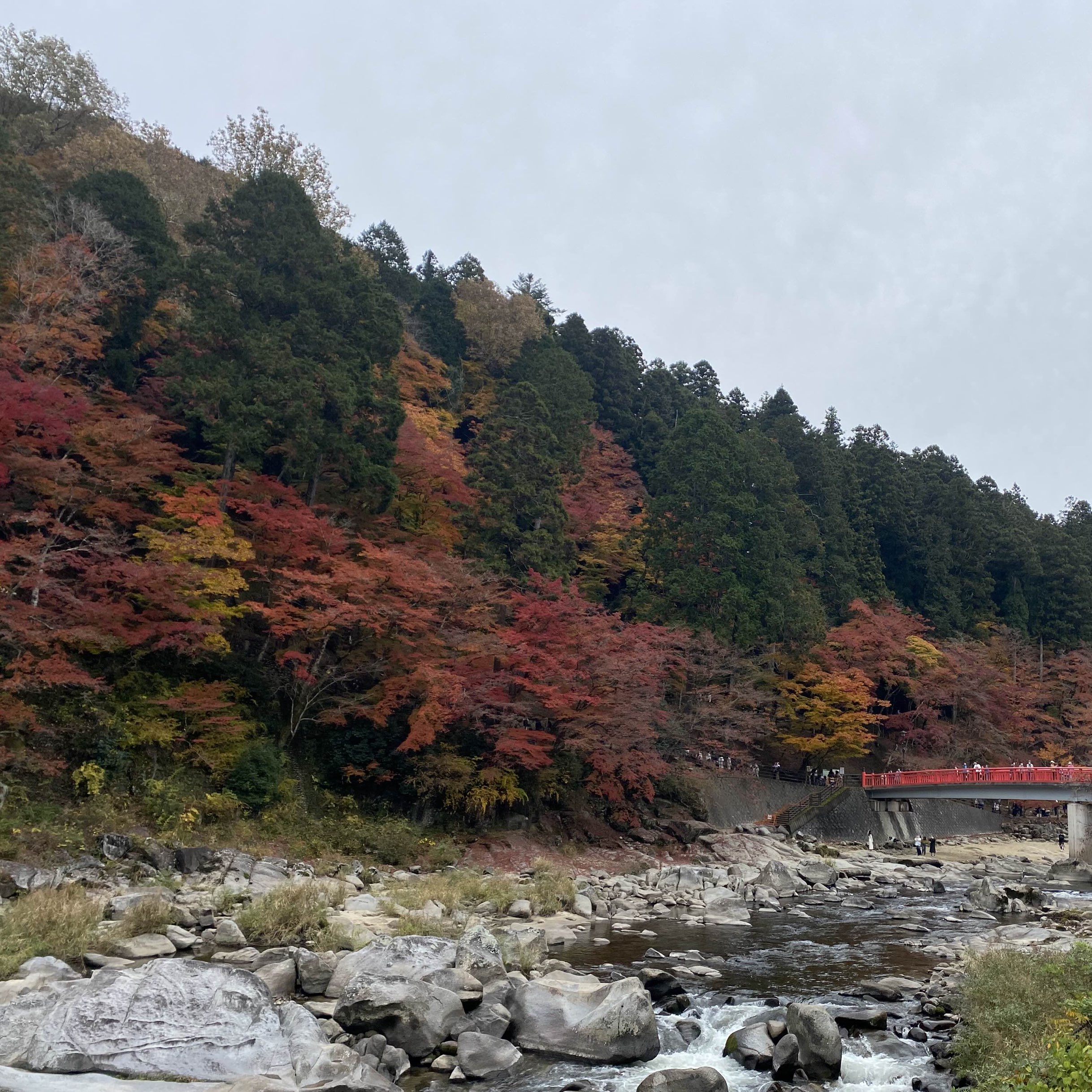 爱知县最美香岚溪