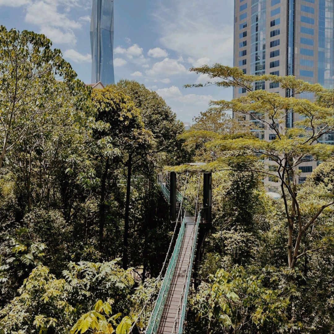 吉隆坡吉隆坡森林生态公园