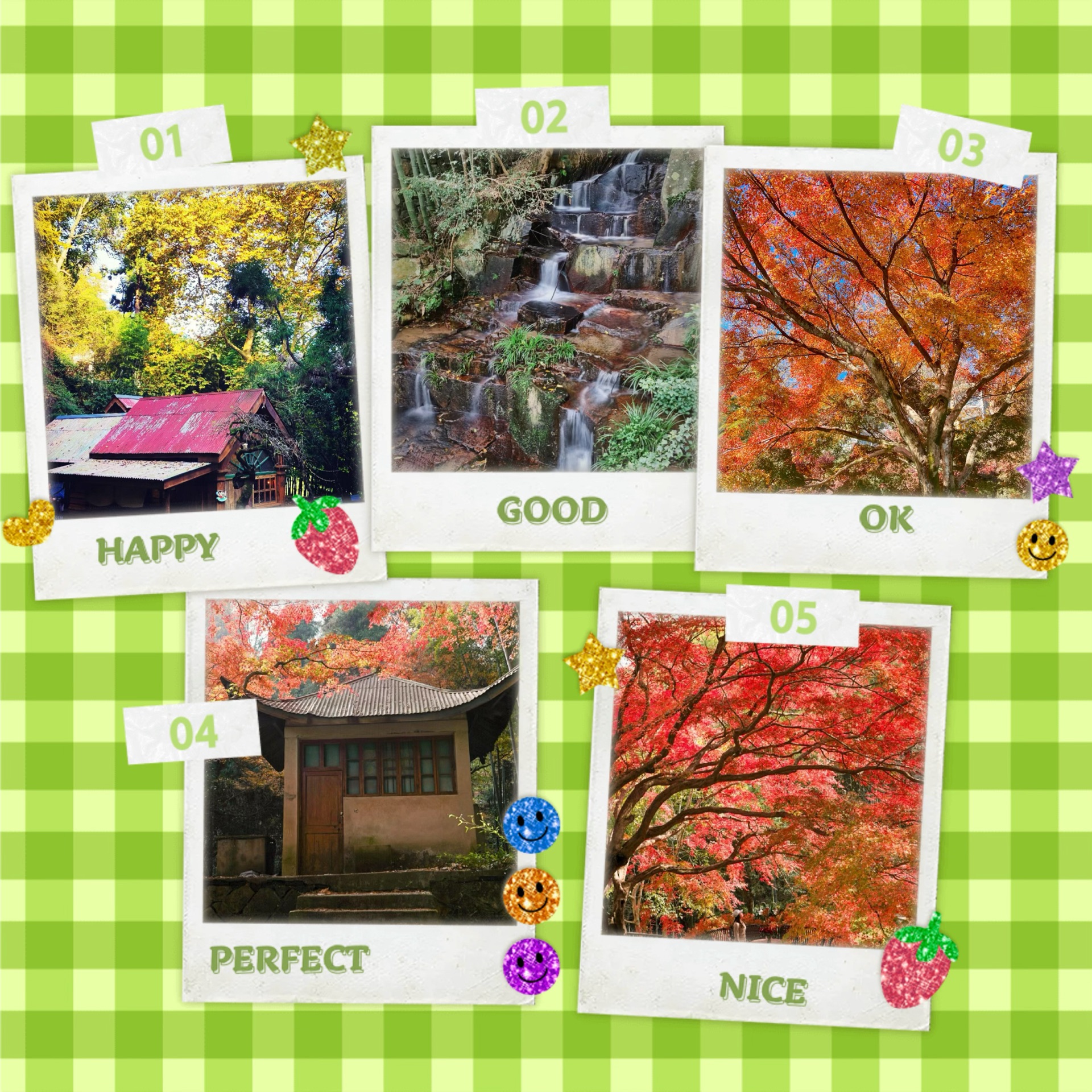 本町公园 🍁秋日中的美丽🌳🍁