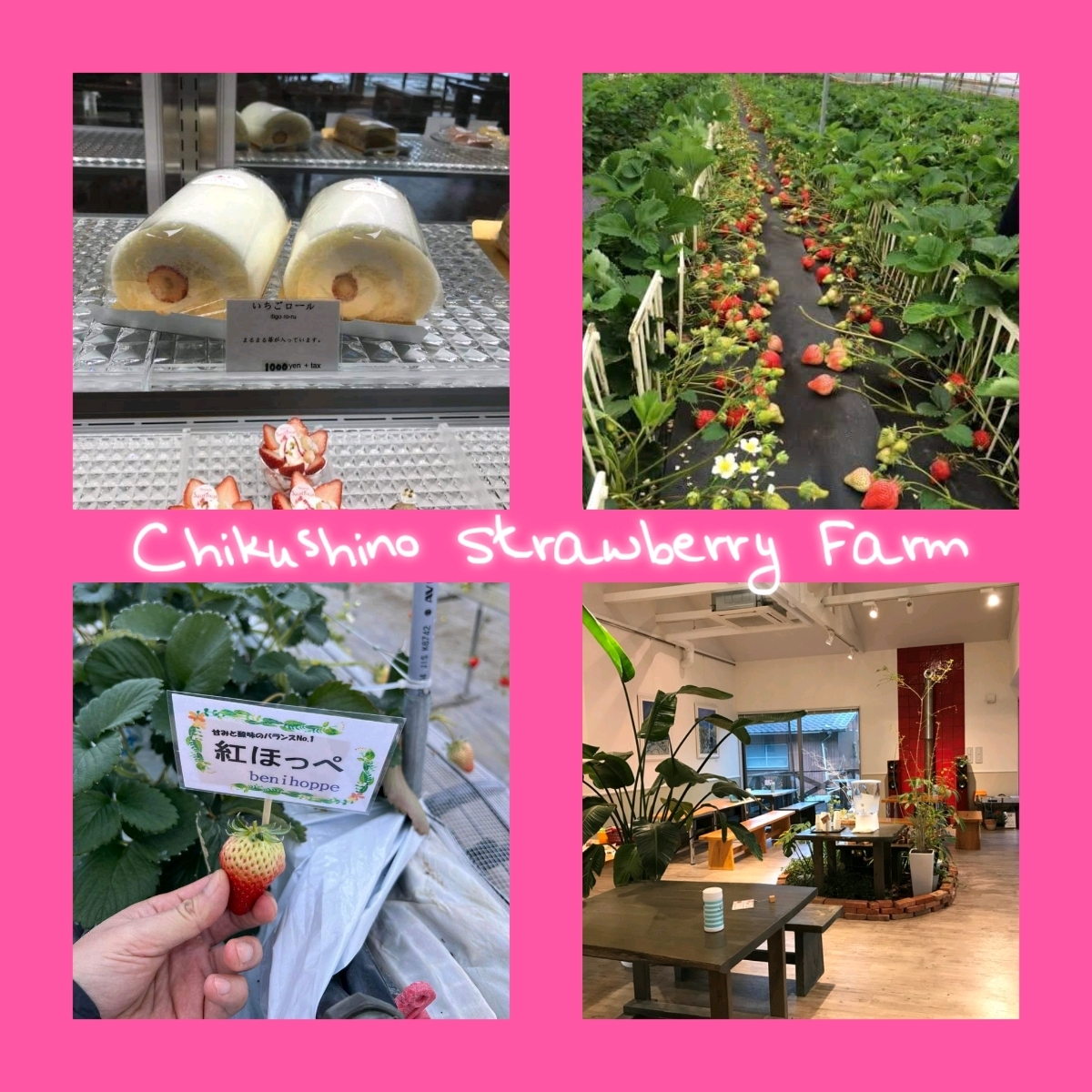 福冈筑紫野Chikushino Strawberry Farm