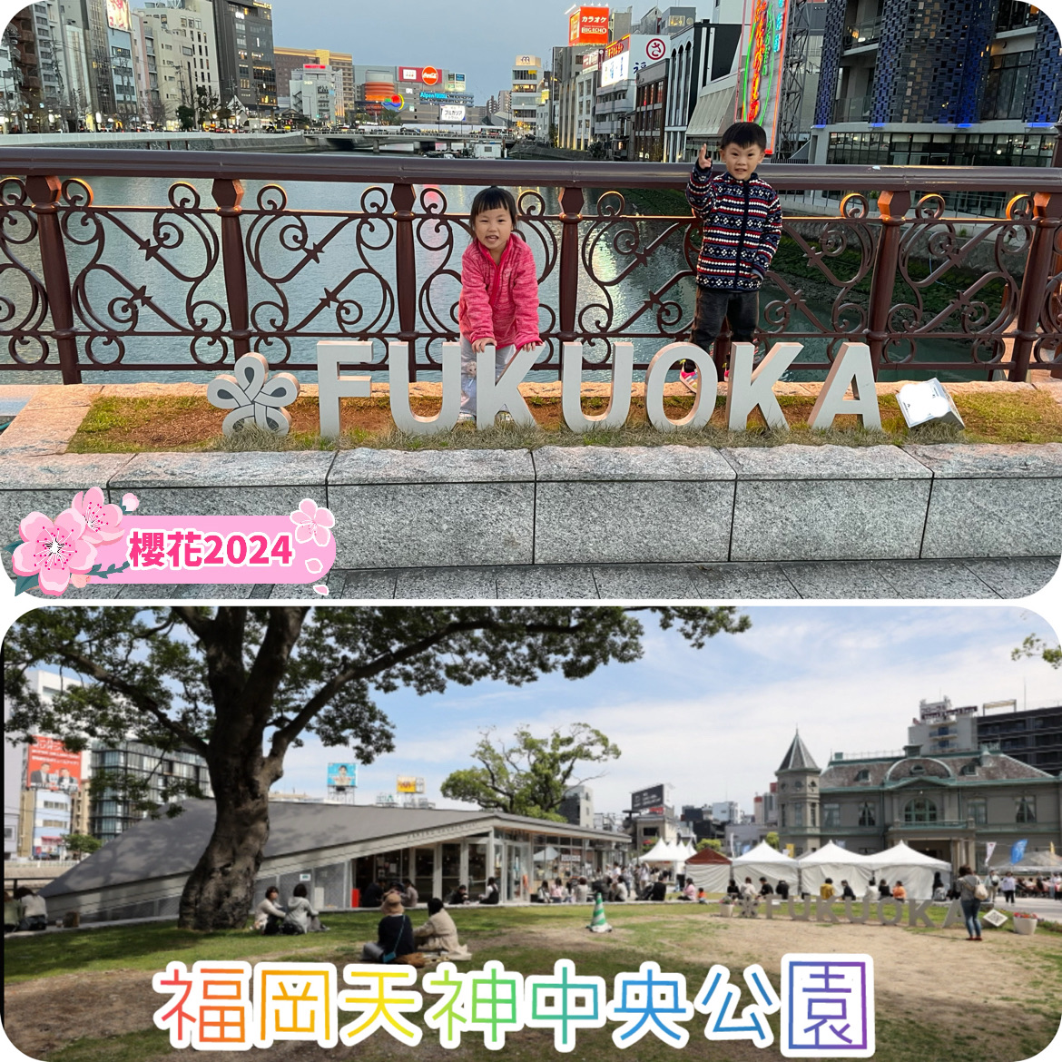 福冈市中心😍欣赏樱花🫶🏻天神中央广场