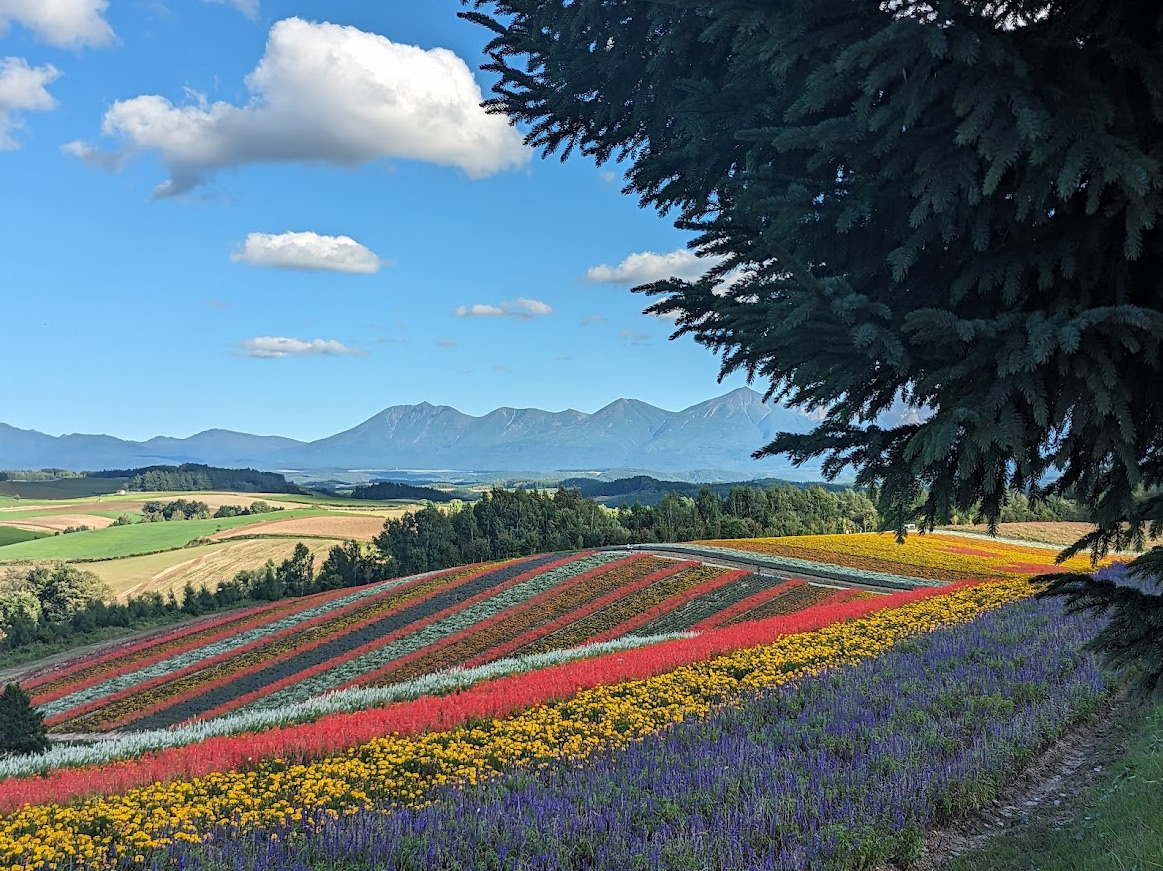 石井山