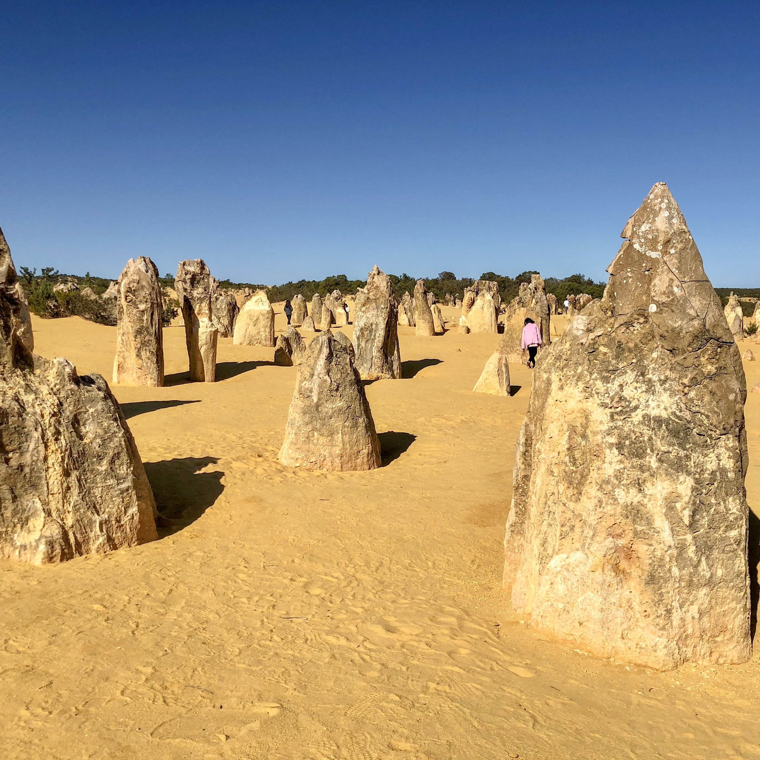 Pinnacles 沙漠 - 珀斯, 澳大利亚