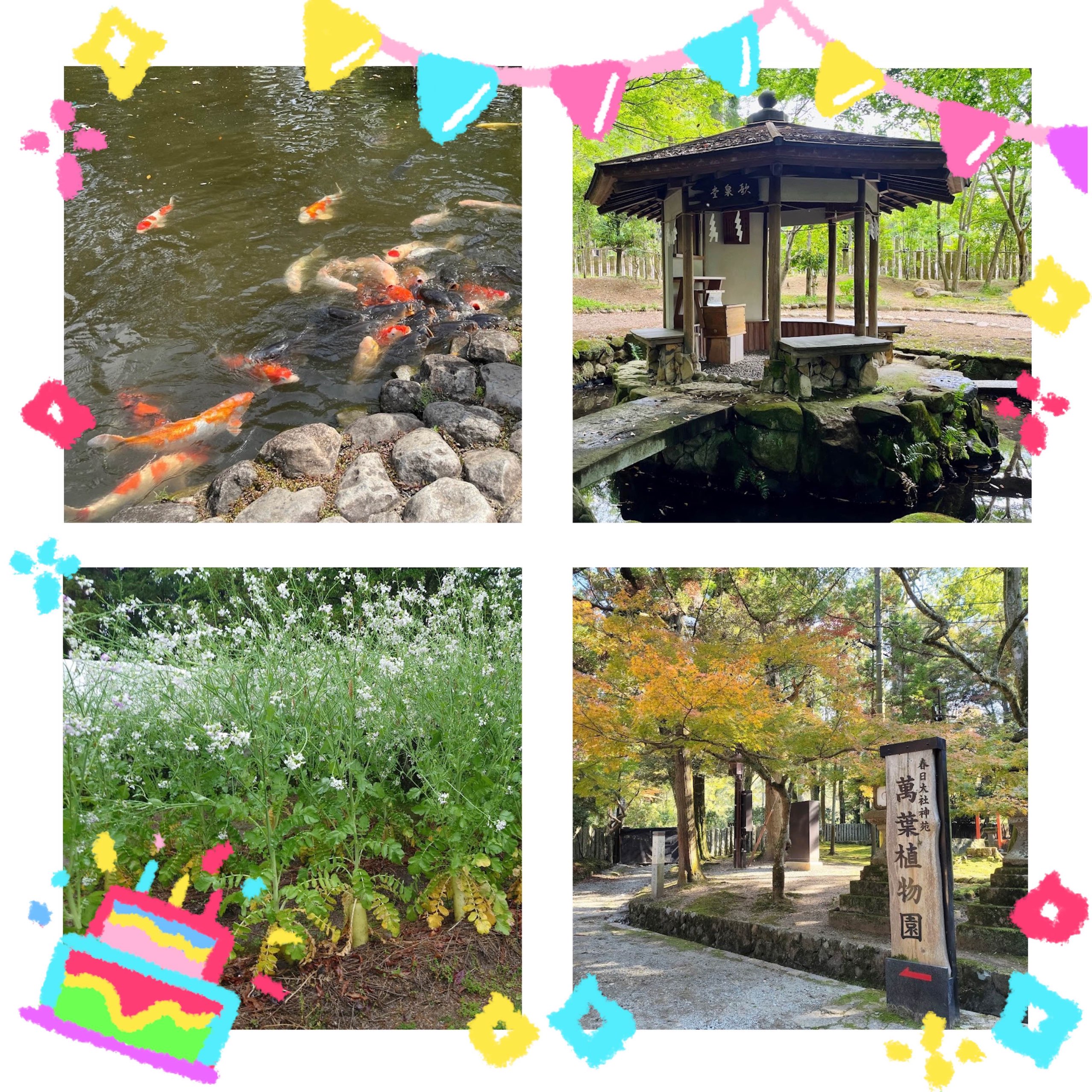 花开四季诗意盎然：奈良的万叶植物园！🌸🌿📜