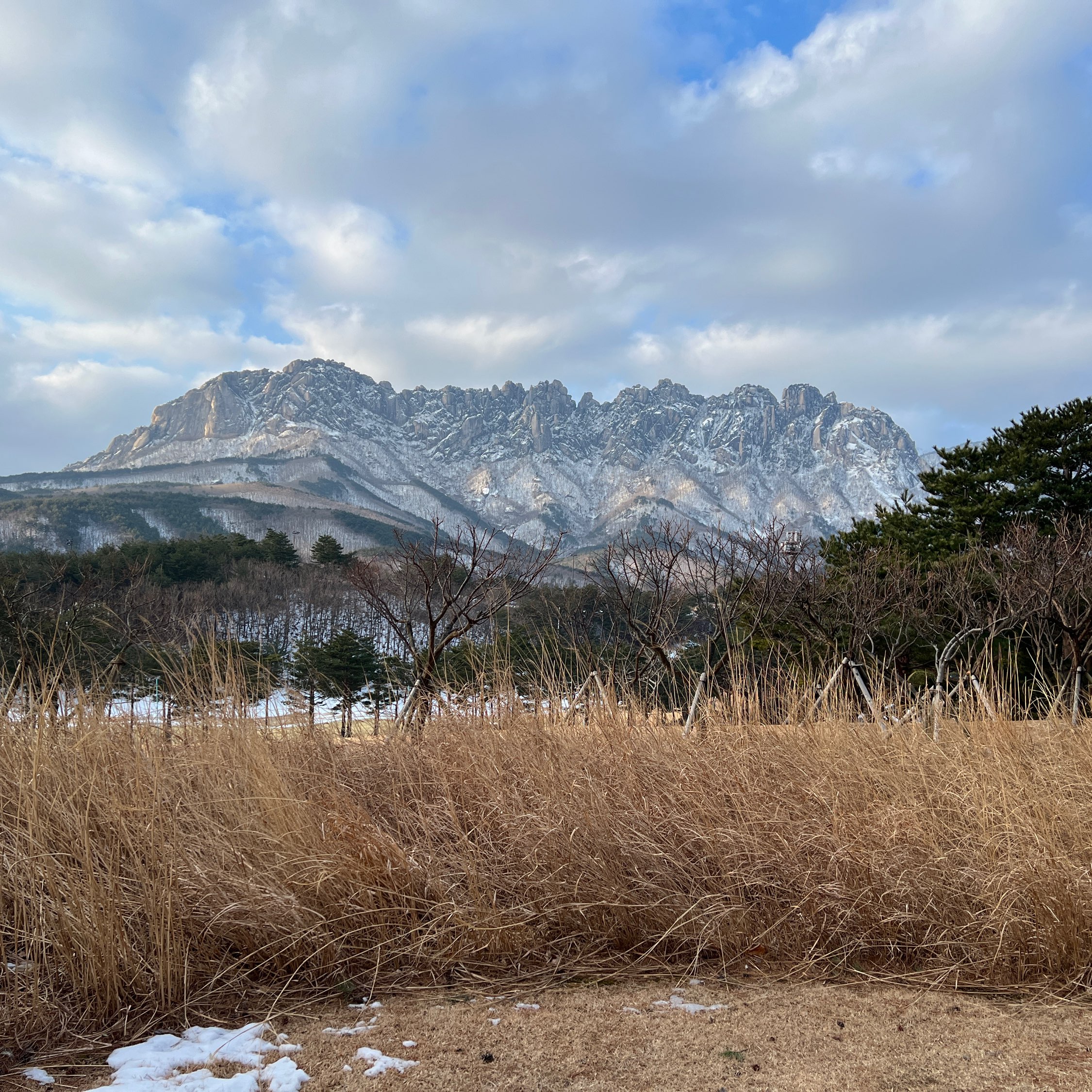 雪山景住宿,在韩国挠心